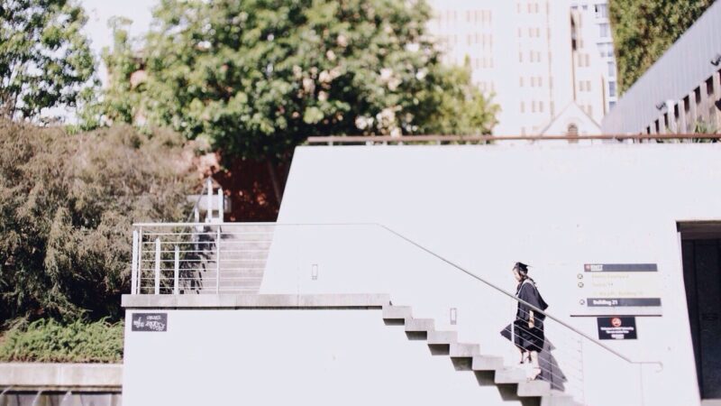 business degree engineering university