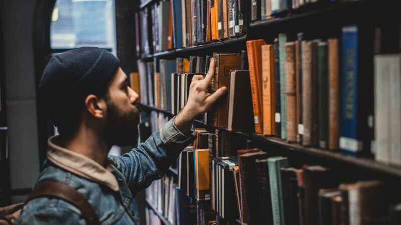 english taught bachelors in germany