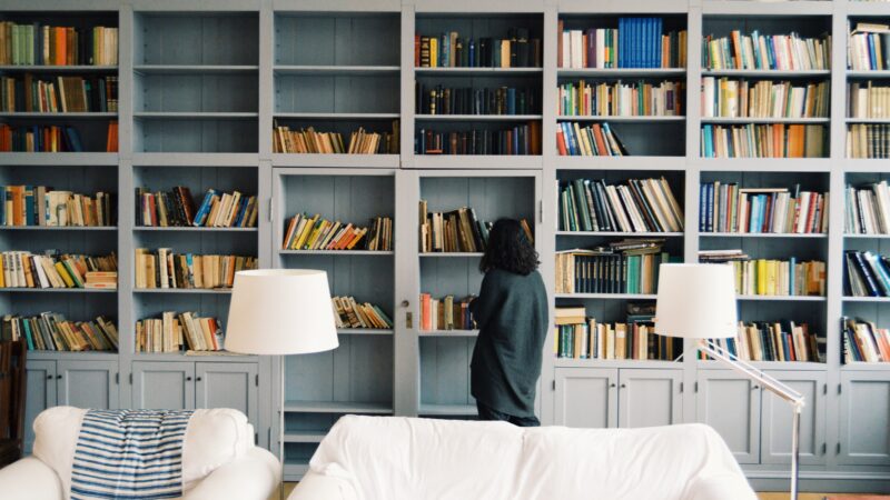 international studies in germany